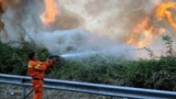 Italienii cer disperați ajutor. Incendiile nu mai pot fi ținute sub control în Sardinia 