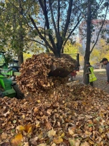 ·  Să lucrăm împreună pentru un oraș curat  Salubrizarea și venirea toamnei:  Să păstrăm curățenia în comunitate! 