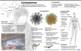 www.ziarulatak.ro  Peste 900 de persoane au murit și mai mult de 40.000 sunt infectate cu coronavirus
