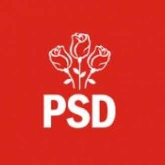 psd-solicita-executivului-sa-explice-cetatenilor-ce-inseamna-cre-terea-economica-49104-1.png