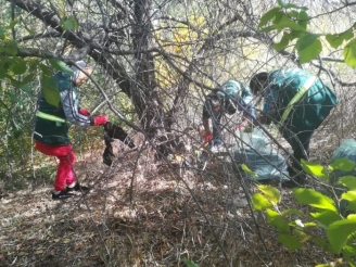 totul-verde-a-participat-la-actiunea-de-curatare-in-parcul-vacare-ti-51221-1.jpg