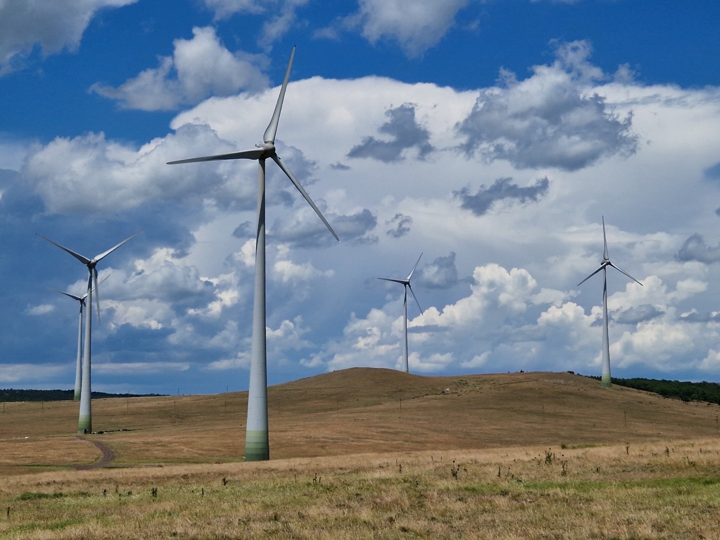 Premier Energy raportează venituri de 877 milioane de euro în primul semestru și investiții de 20 de milioane de euro în energie regenerabilă