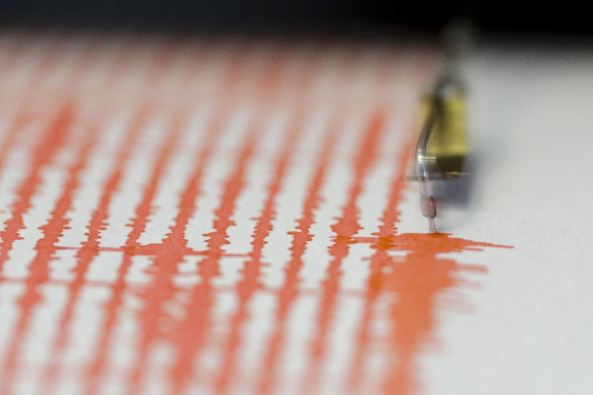 Cutremur în Vrancea, duminică dimineață / Seismul a avut magnitudinea 4,1