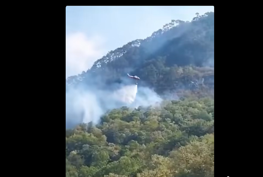 Agent Green, după mobilizarea a două elicoptere Black Hawk la incendiul din Domogled: „Dacă această mobilizare este posibilă în ziua 51, de ce nu a fost posibilă în ziua 10, 20 sau 30?” / Gabriel Păun cere sprijin european suplimentar