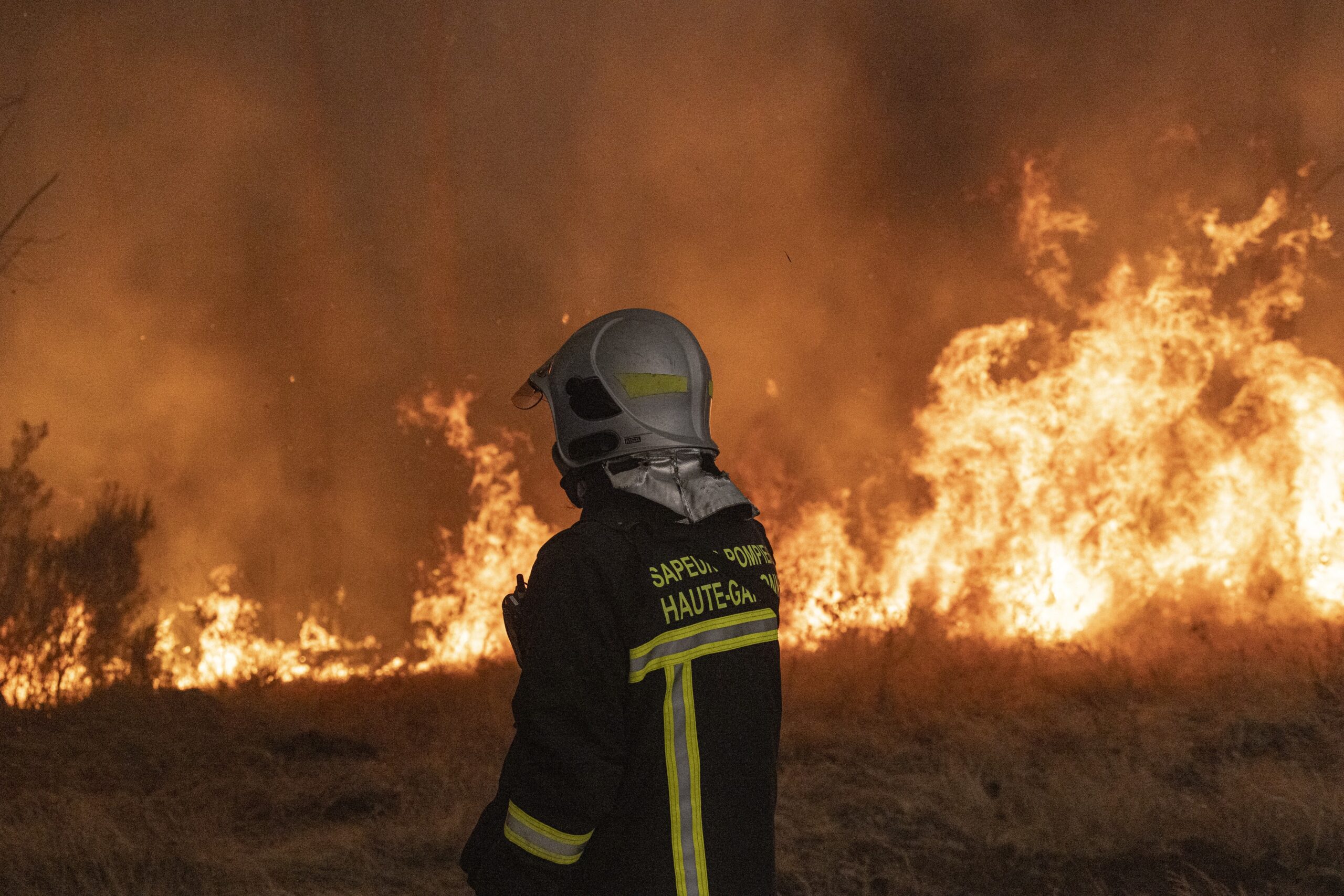 Pompieri români și bulgari au stins un incendiu pe o insulă de pe Dunăre