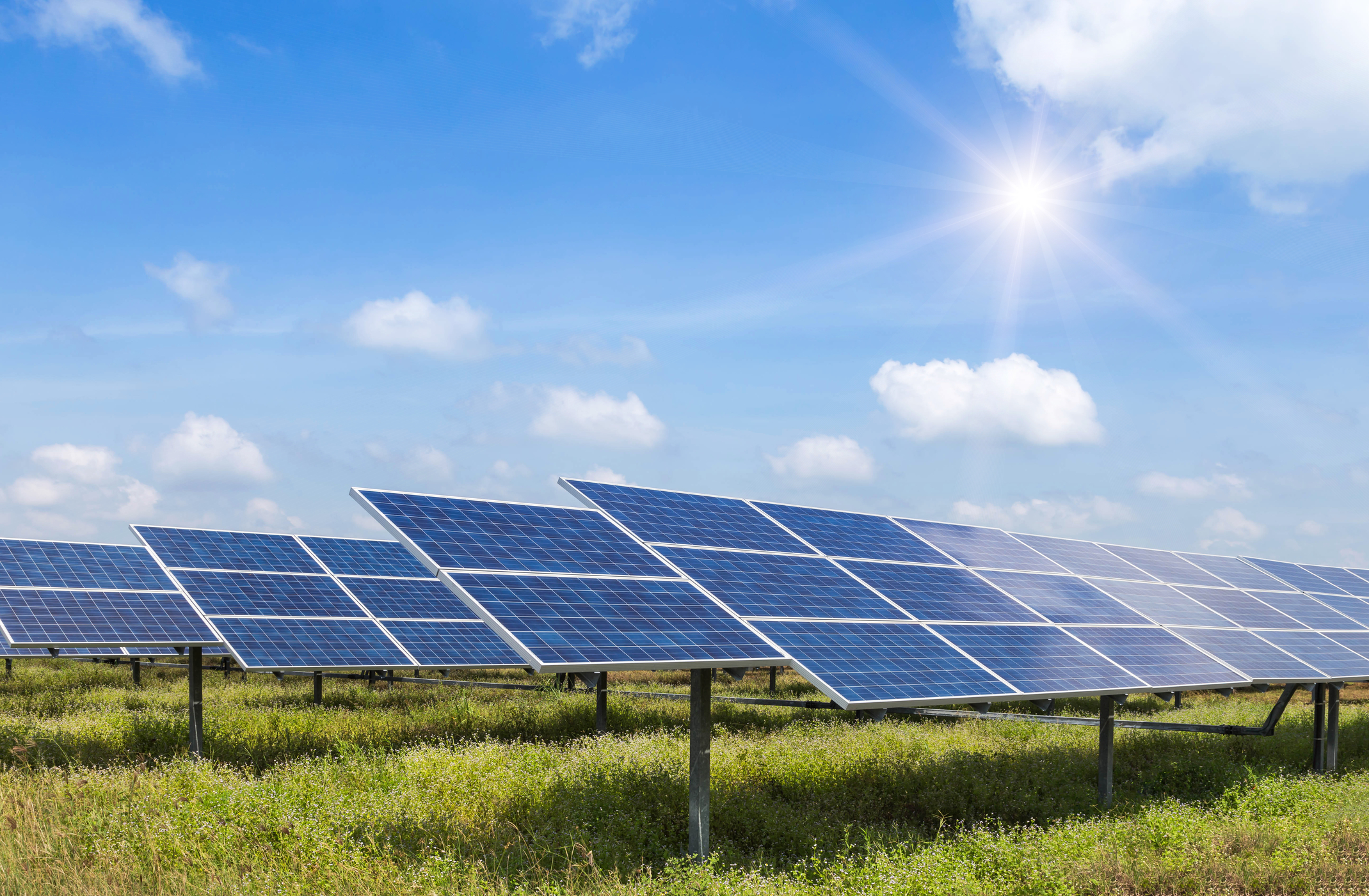 Companiile germane sunt interesate de investiții în energia solară şi eoliană din România, transmite ambasadoarea Germaniei