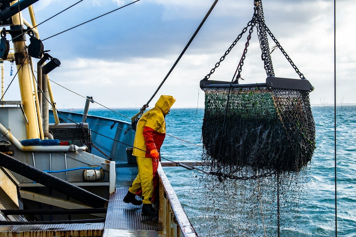Proprietarii de flote de pescuit din Bulgaria cer ajutor din partea statului din cauza atacurilor rusești în Marea Neagră